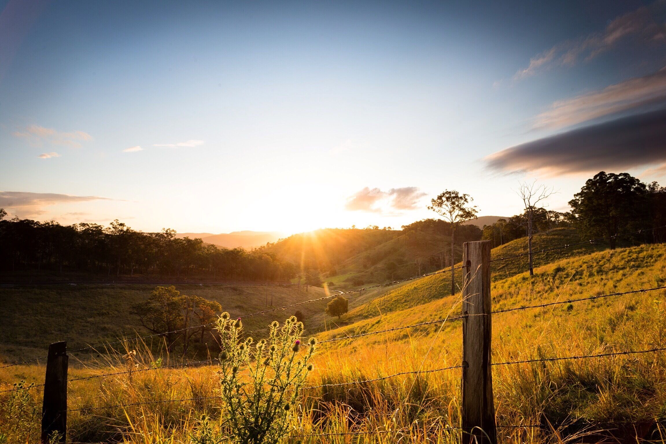 A relaxing scenic drive just over an hour from Brisbane, you can enjoy travelling along the Mt Mee Tourist Drive. You can visit antique shops, a winery, hike and camp in the #nationalpark, or just take in the views as the landscape changes. Nothing beats some fresh country air 

#queensland #australia
