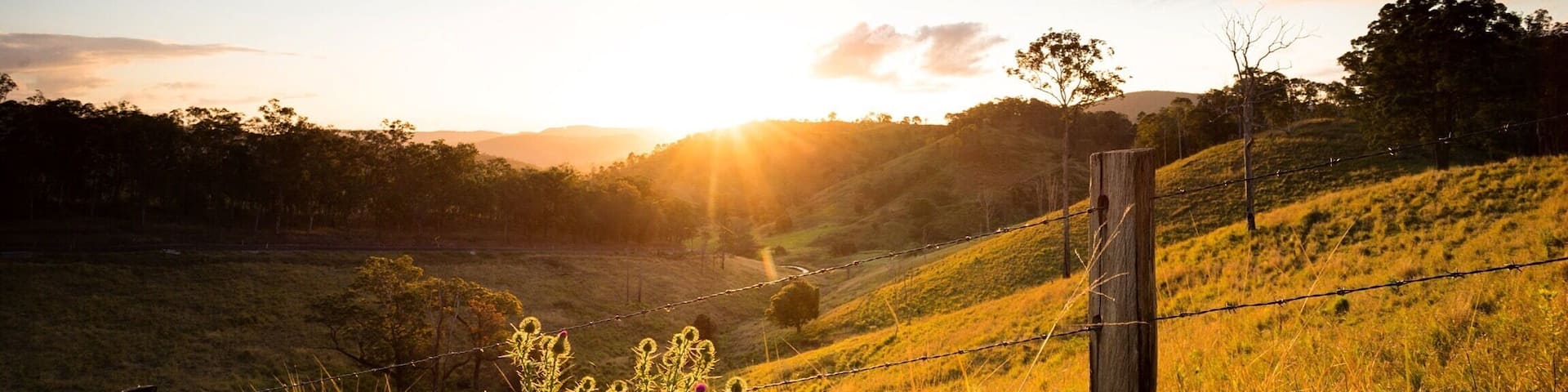 A relaxing scenic drive just over an hour from Brisbane, you can enjoy travelling along the Mt Mee Tourist Drive. You can visit antique shops, a winery, hike and camp in the #nationalpark, or just take in the views as the landscape changes. Nothing beats some fresh country air
#queensland #australia