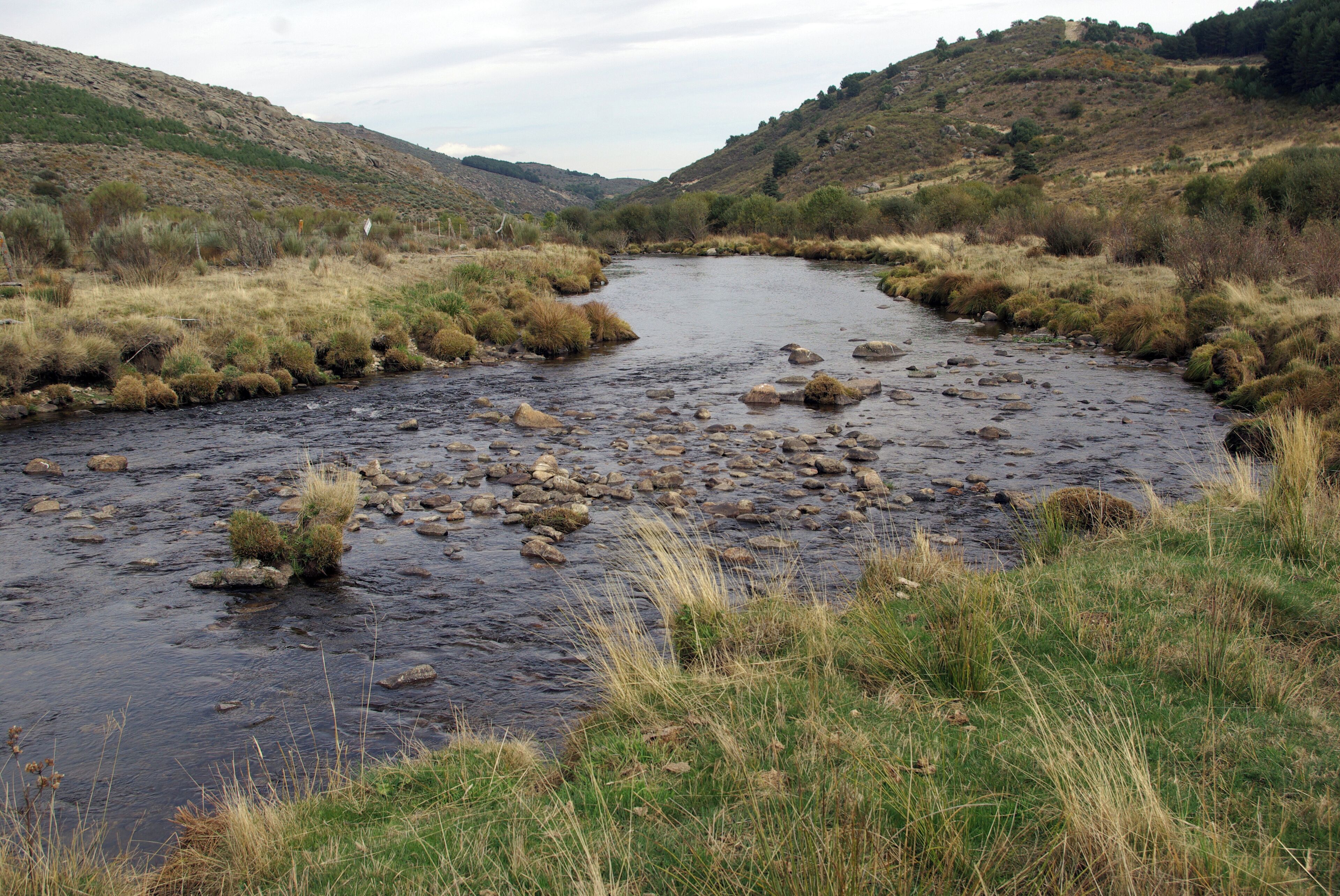 River Alberche at San Martín del Pimpollar (Ávila, Spain)