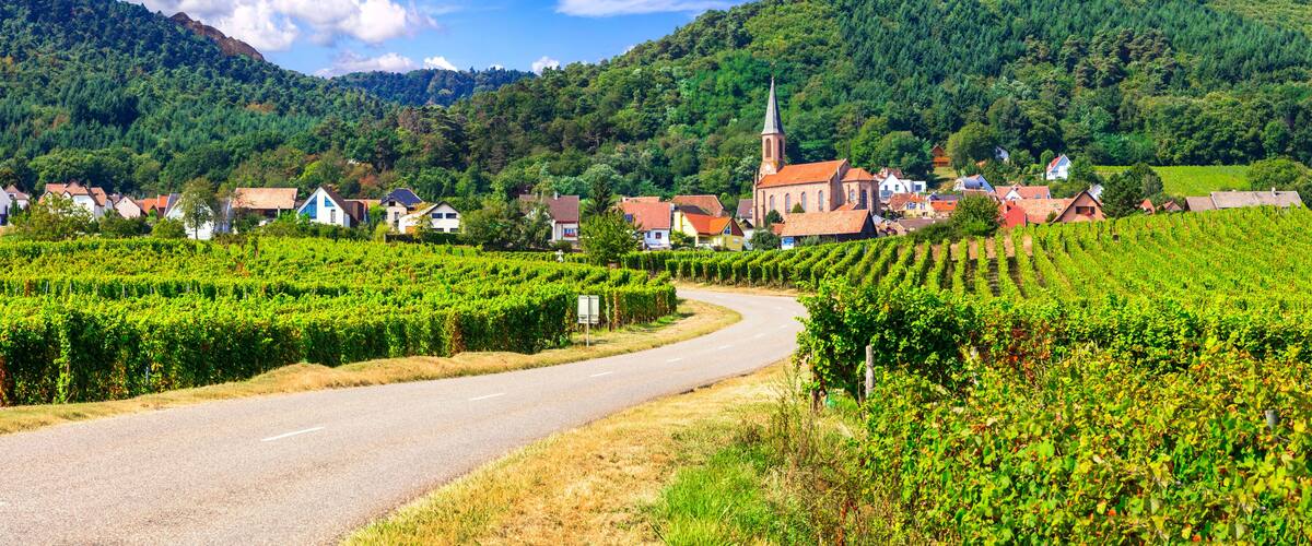A vineyard, a church, and a castle on a hill.