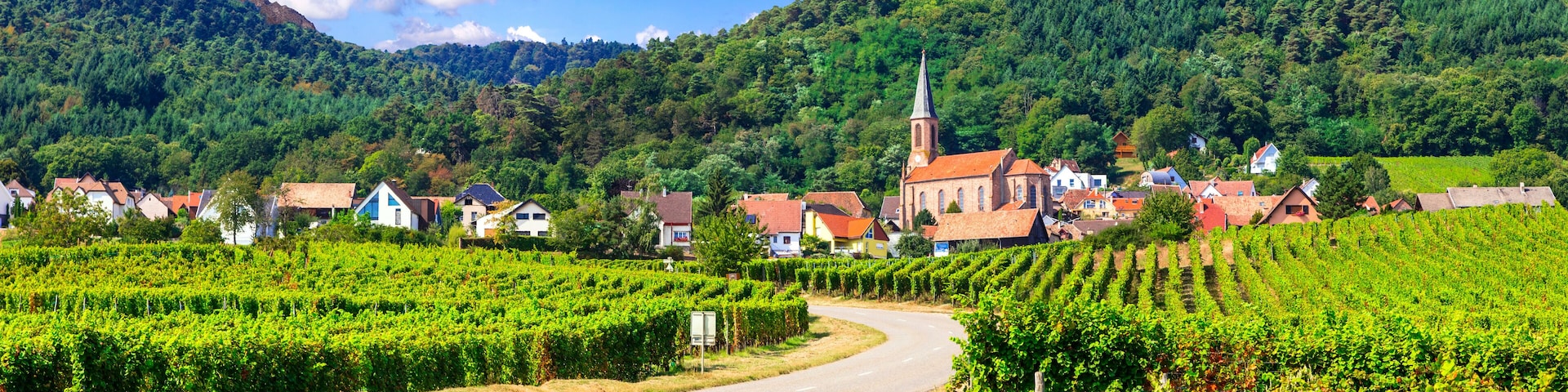 A vineyard, a church, and a castle on a hill.