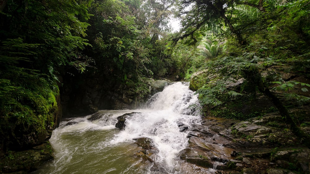 waterfall landscape in pacto ecuador, natural river in the jungle of pacto, ecuador.