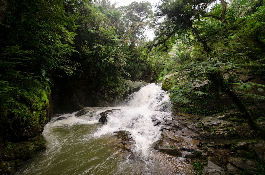 waterfall landscape in pacto ecuador, natural river in the jungle of pacto, ecuador.