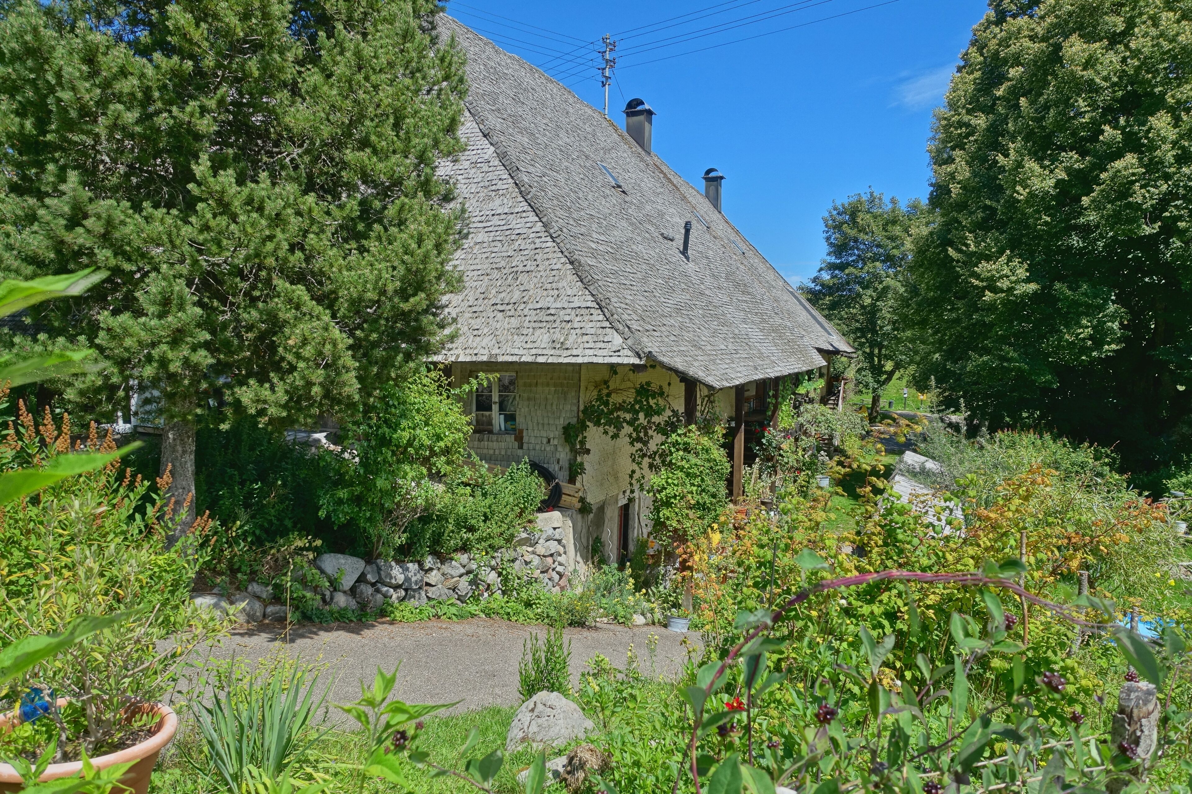 Schwarzwaldhaus mit Holzschindeln auf dem Dach, wie früher üblich. Im Hotzenwald waren die Häuser auch noch mit Stroh gedeckt. Noch bewohntes Haus, kein Museum.