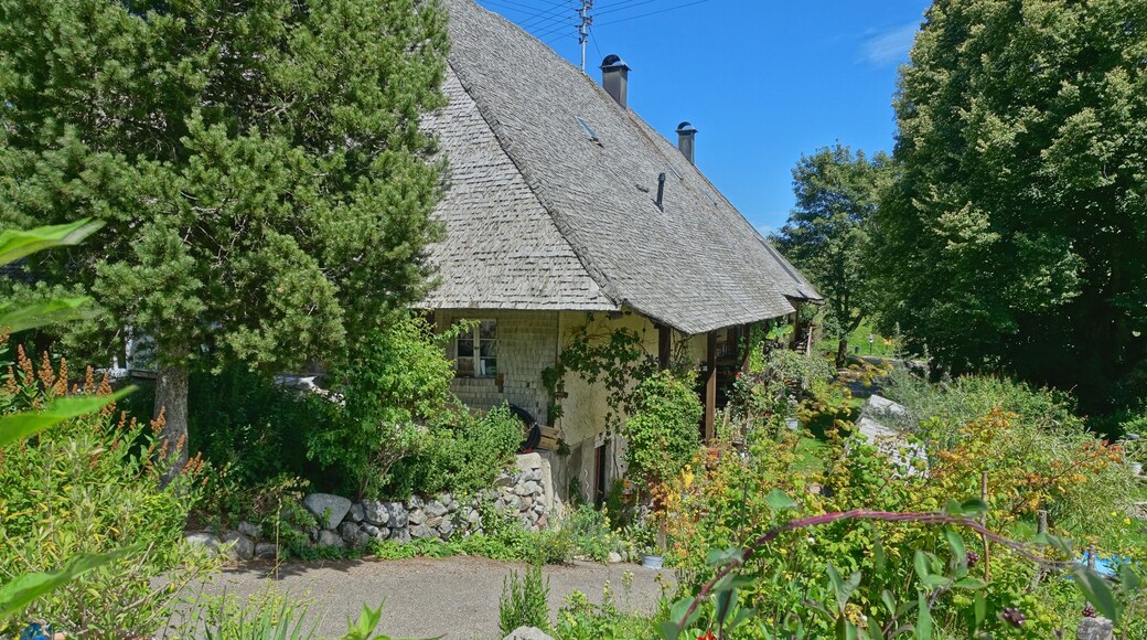 Schwarzwaldhaus mit Holzschindeln auf dem Dach, wie früher üblich. Im Hotzenwald waren die Häuser auch noch mit Stroh gedeckt. Noch bewohntes Haus, kein Museum.