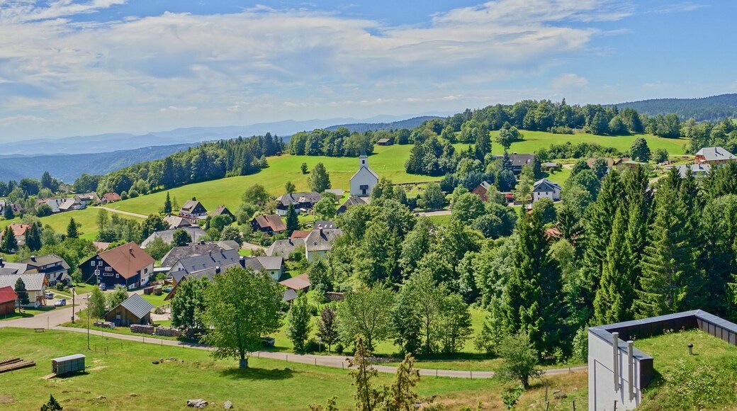 Der Dachsberger Ortsteil Urberg, Panorama