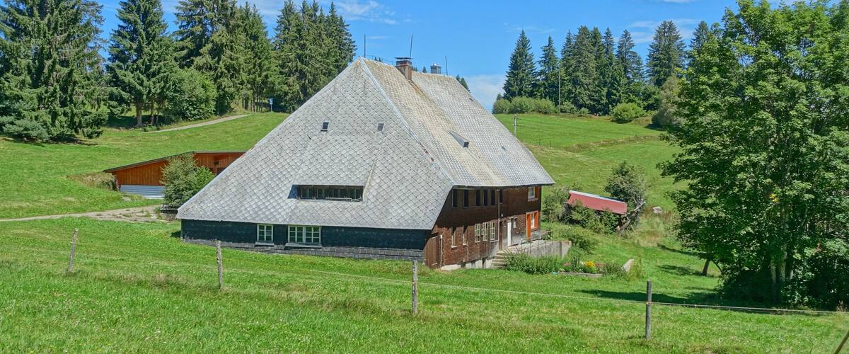 Dachsberg (Südschwarzwald) Rüttewies 1