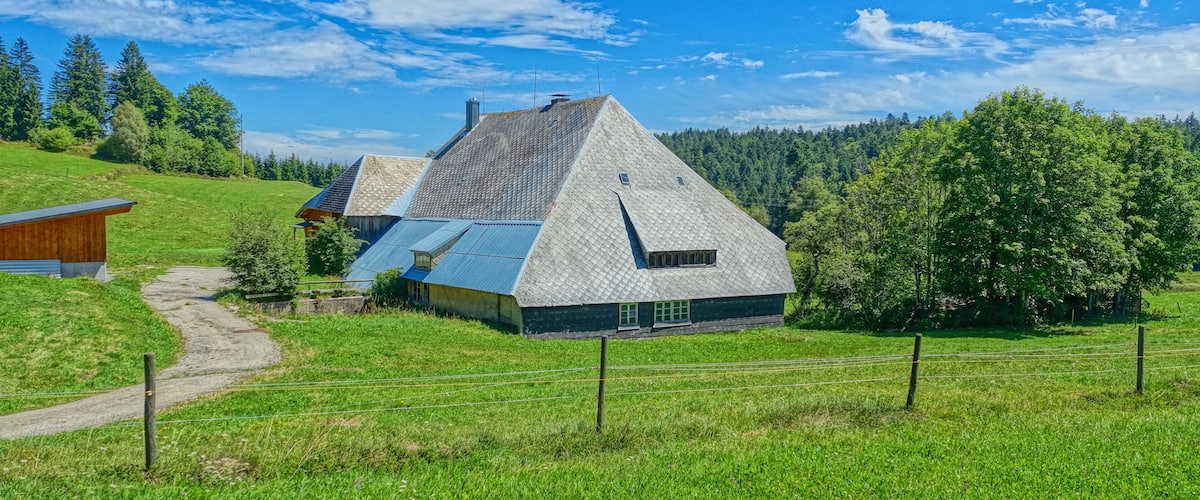 Dachsberg (Südschwarzwald) Rüttewies 1