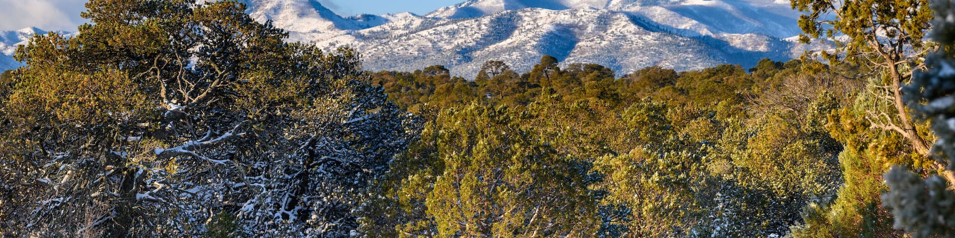 A snowy landscape with trees and snow-covered mountains in the background.