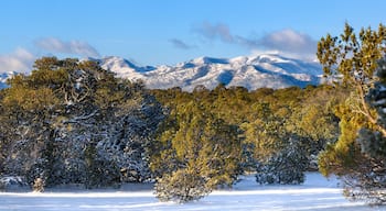 A snowy landscape with trees and snow-covered mountains in the background.