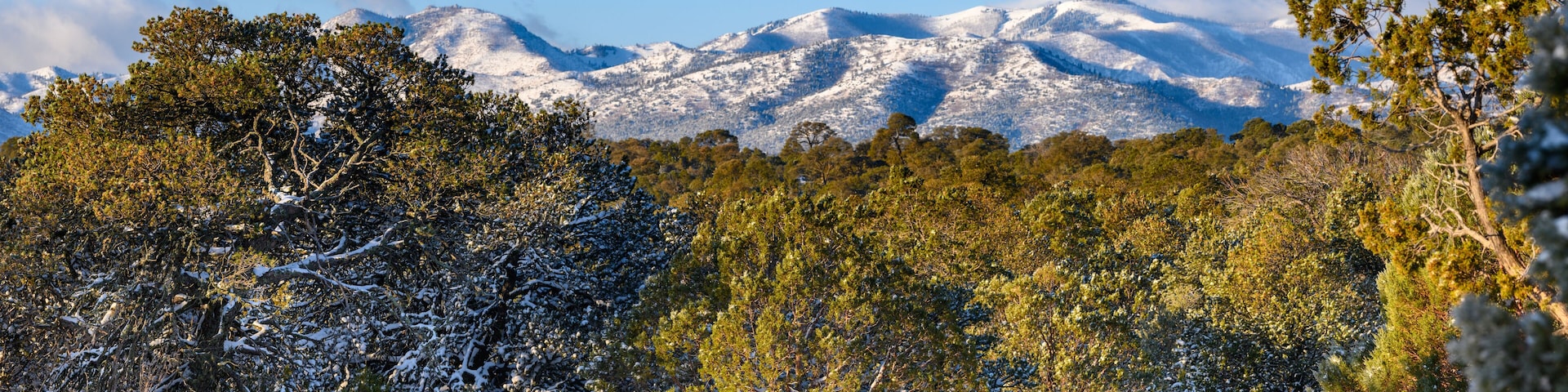 A snowy landscape with trees and snow-covered mountains in the background.