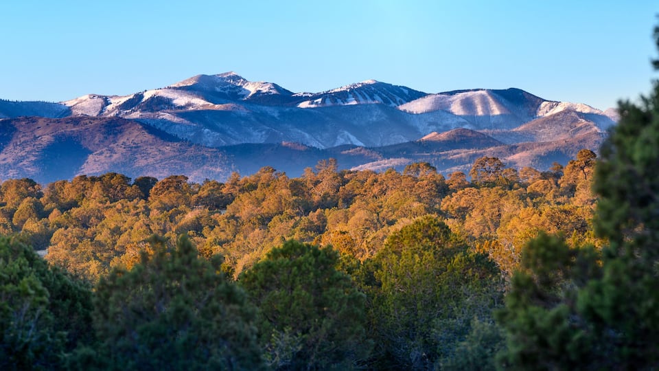 A mountain range with snow-capped peaks and a forested valley.