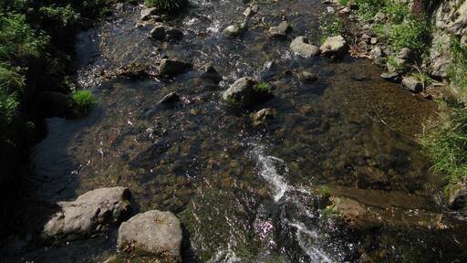 Wagensteigbach with confluence of the Schweigbrunnenbach