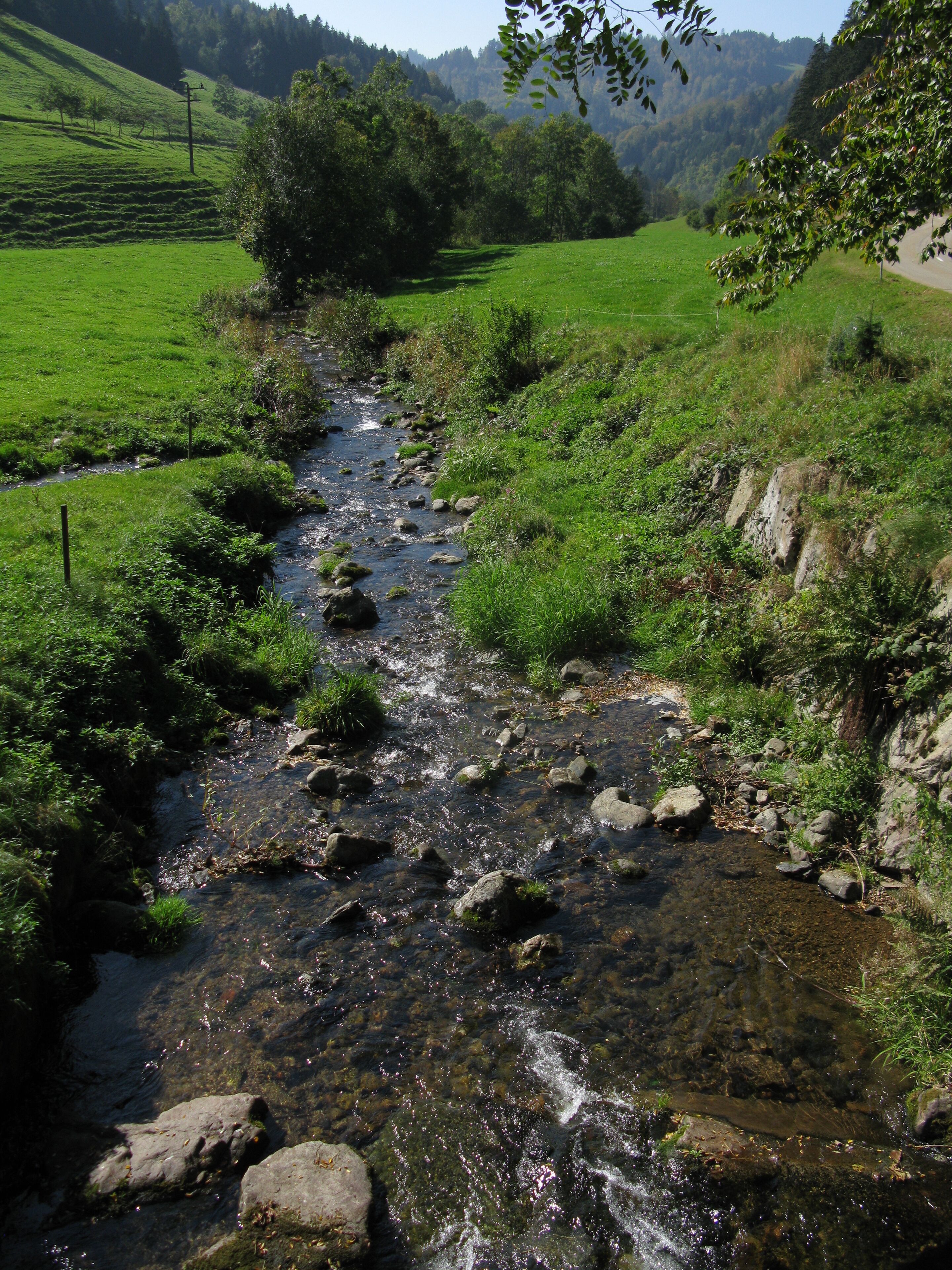 A clear stream flowing through a lush green valley with rocky banks and a forested hillside in the background.