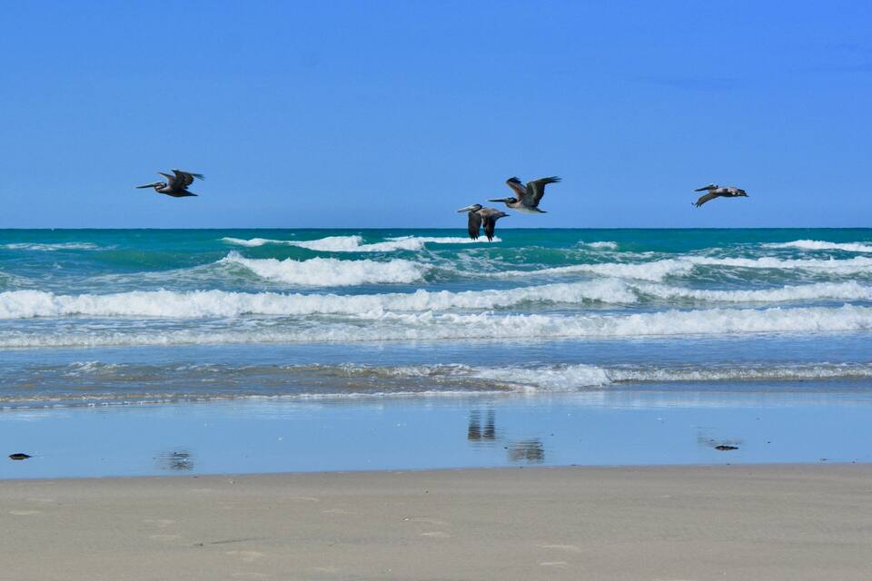 A beach with waves and birds flying over the water.