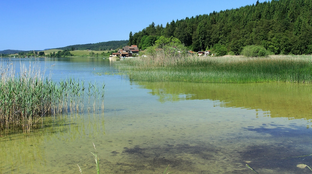 Port Titi - Lac St Point
