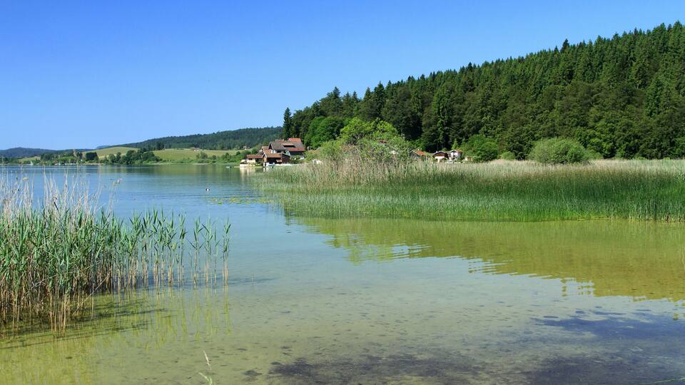 A lake with clear water, surrounded by green fields and a forested hill.