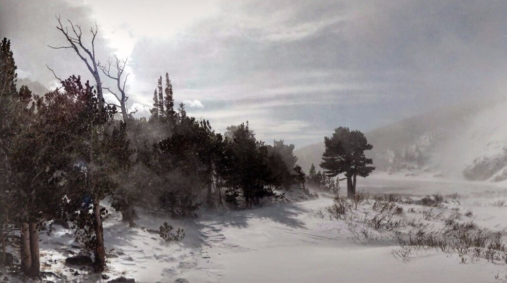 Panoramic taken of a glacier. Only took an hour to hike up to. Was surprisingly pleasant, sun was out, was unbelievably beautiful due to the brilliant sunshine against vast swaths of white.
#WinterWonders