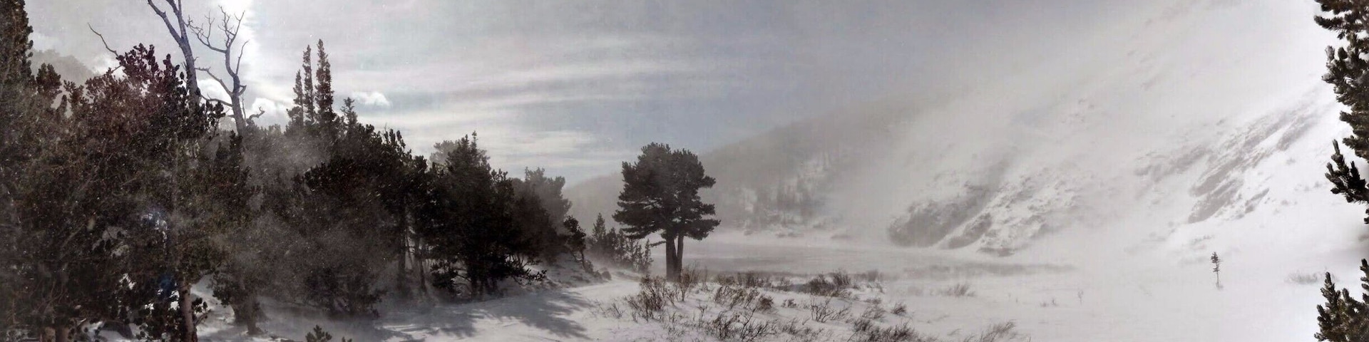 Panoramic taken of a glacier. Only took an hour to hike up to. Was surprisingly pleasant, sun was out, was unbelievably beautiful due to the brilliant sunshine against vast swaths of white.
#WinterWonders