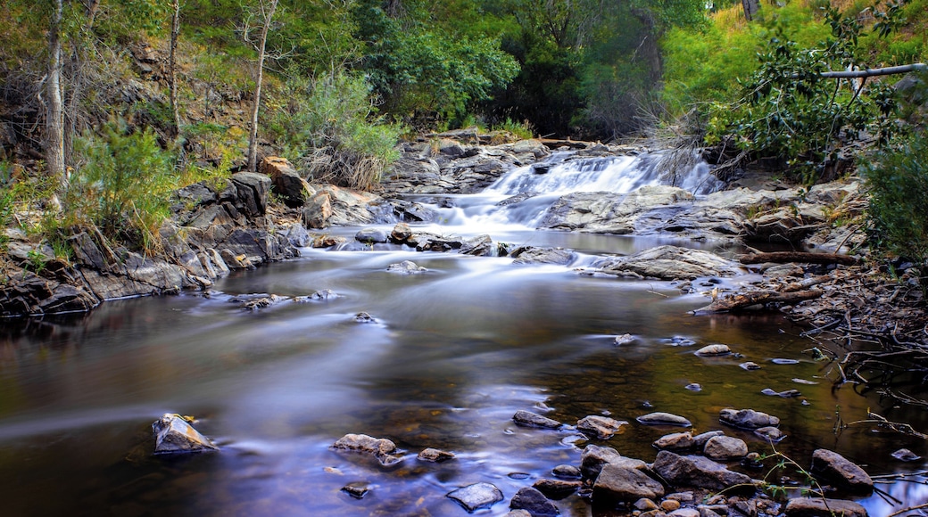 Bear Creek Canyon near Ideldale, CO. A fantastic place to escape a hot summer day.