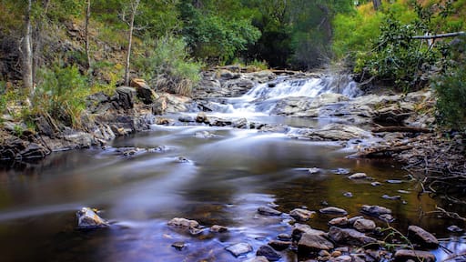 Bear Creek Canyon near Ideldale, CO. A fantastic place to escape a hot summer day.