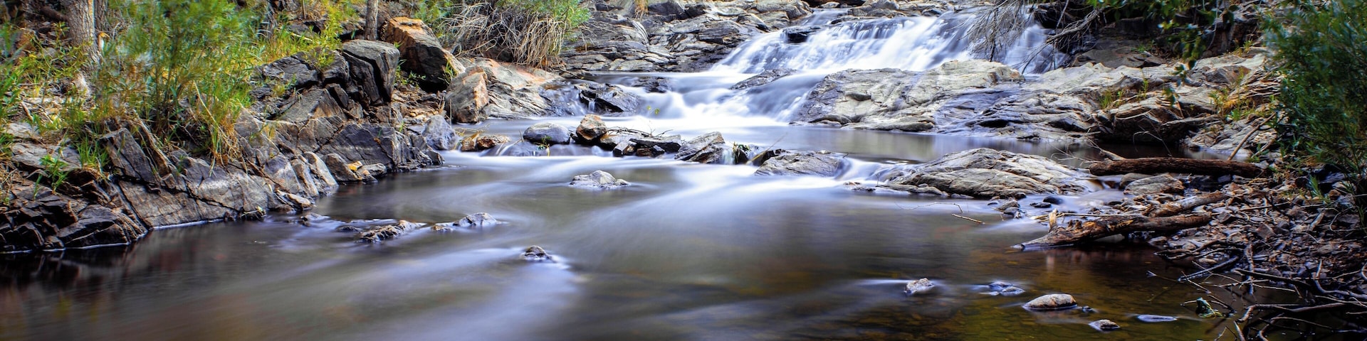 A rocky stream with a waterfall, surrounded by dense forest.