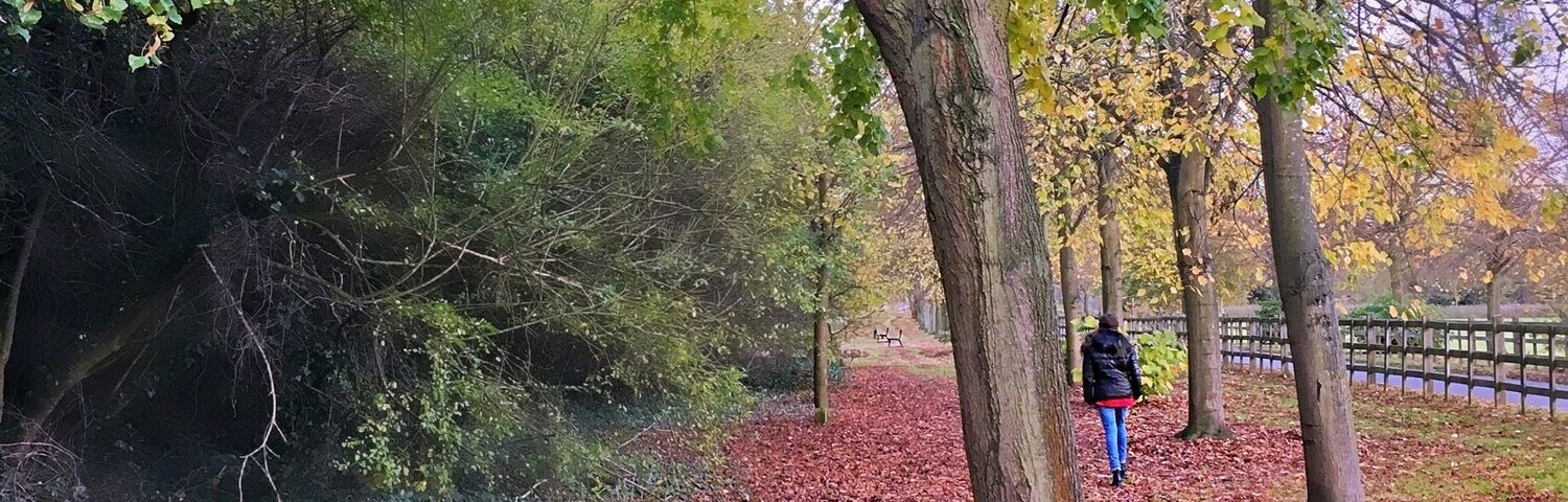 When Mother Nature starts painting, everyone starts staring 🍁💕🍂💜 #embracingtheseason