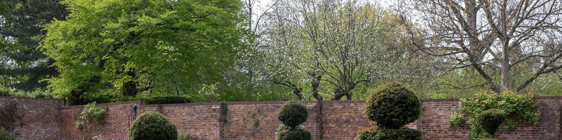 Colourful tulips amidst other spring flowers at Eastcote House Gardens, historic walled garden maintained by a community of volunteers in the London Borough of Hillingdon.