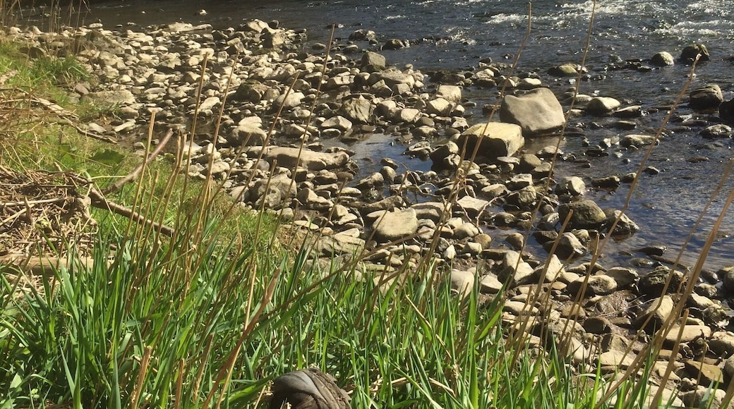 A brew stop by this pretty river :)