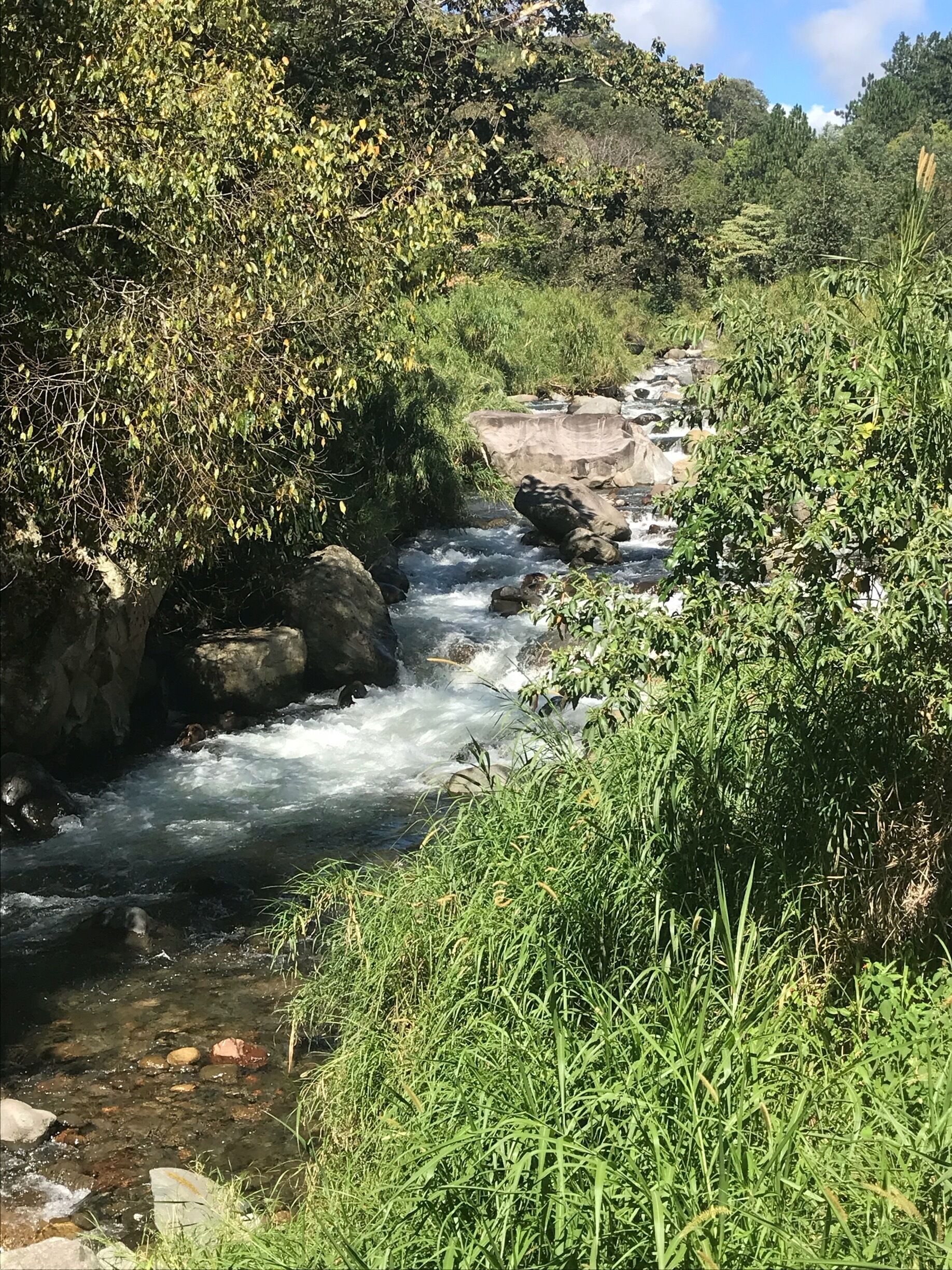 Boquete is full of activity, both day and night! Several inns, places to eat, river adventures, coffee tours, and a lovely weather all year round makes Boquete a great vacation place!
Go to expedia.com and book your next trip to Boquete, Chiriqui, Panama. 