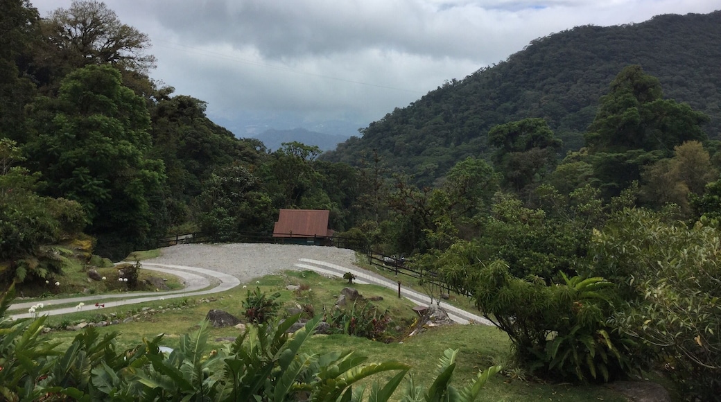 One of the most exciting destinations in Panamaâs Chiriqui Highlands, this property offers canopy, Geisha coffee, Hanging Bridges, Bird watching and Tea Tours! #lifeatexpedia