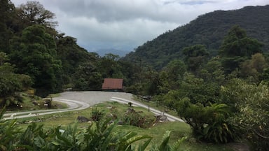 One of the most exciting destinations in Panama’s Chiriqui Highlands, this property offers canopy, Geisha coffee, Hanging Bridges, Bird watching and Tea Tours! #lifeatexpedia