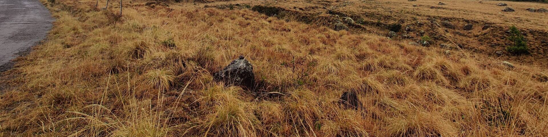 Volcán Barú Chiriquí