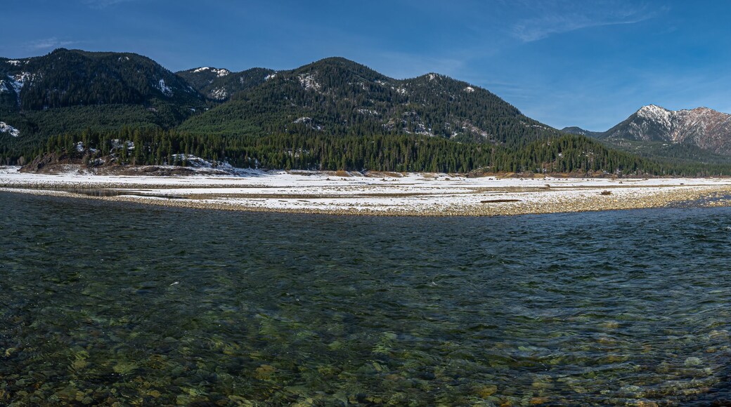 ๋ก์ฌ๋ฆฐ