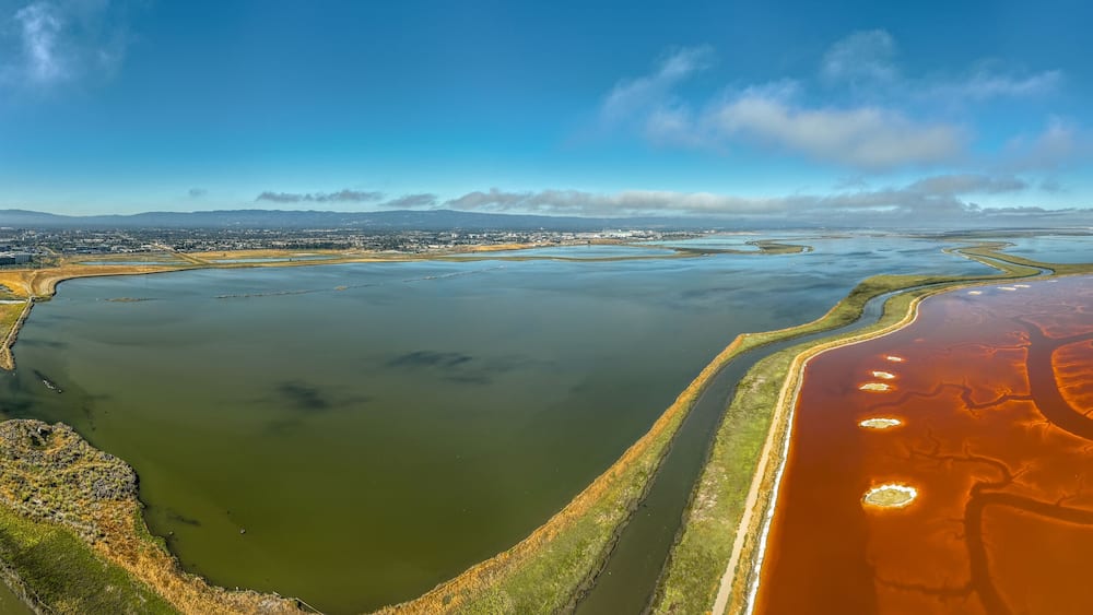 Aerial panorama view of Alviso district in San Jose California with rundown buildings colorful orange, yellow salt marshes in the Bay Area