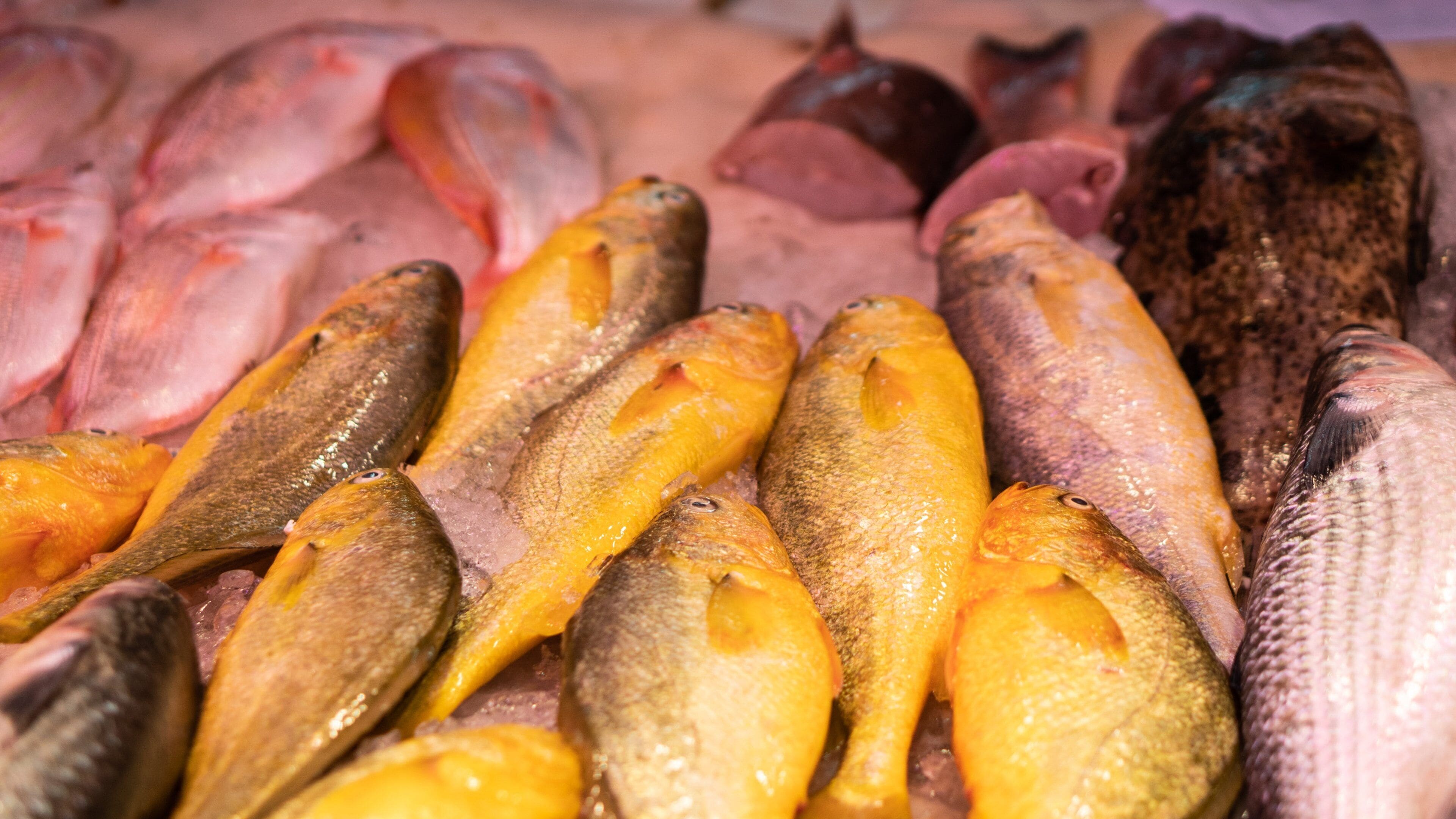 Wan Chai Market featuring markets and food