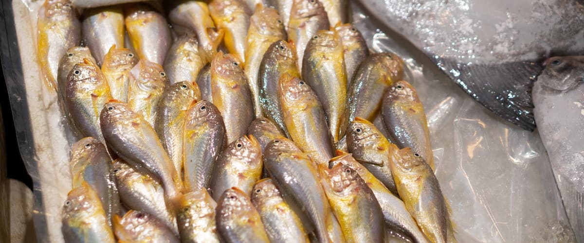 Wan Chai Market showing food and markets