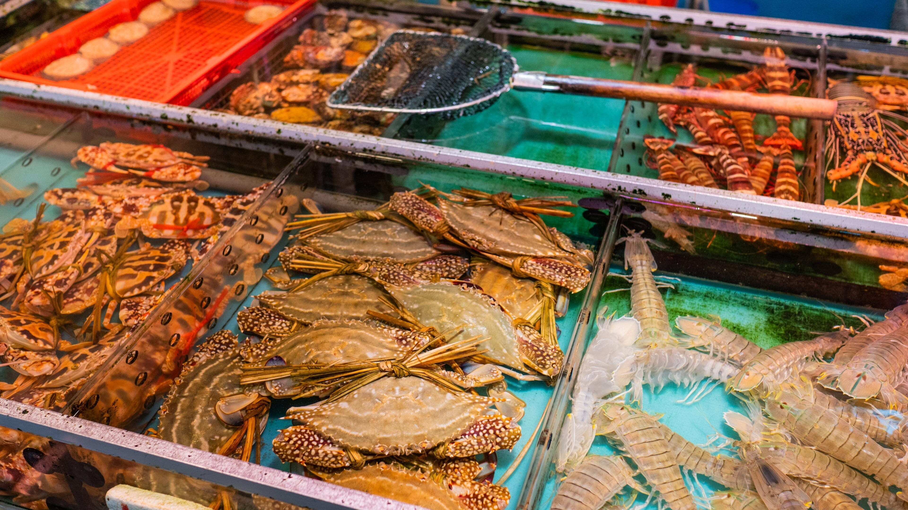 Wan Chai Market featuring markets, food and interior views