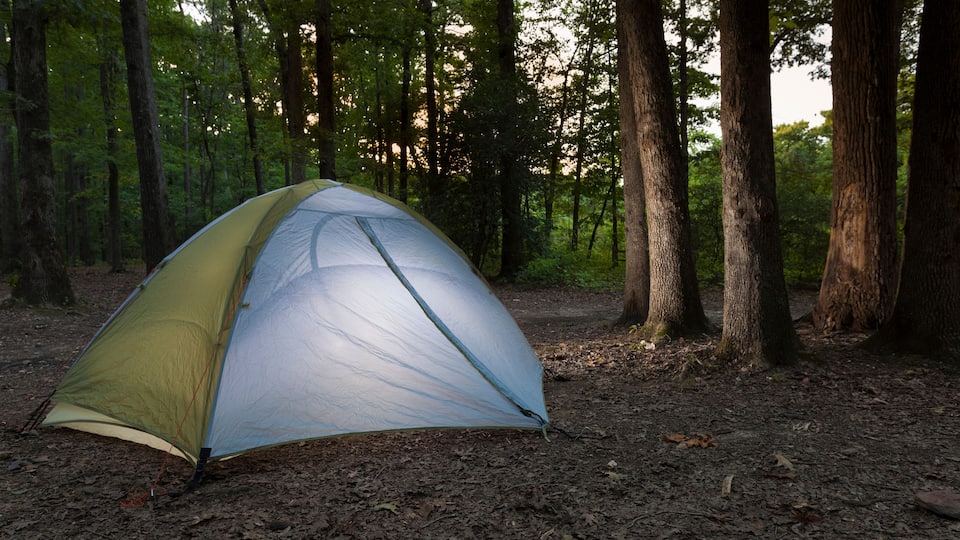 A tent in a forest.