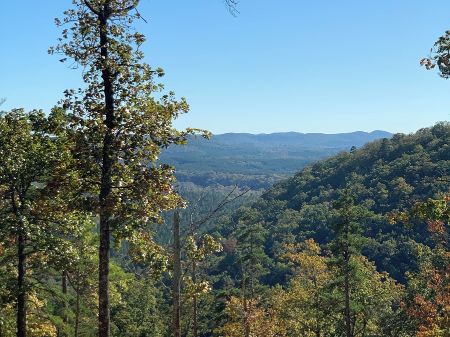 This is a beautiful view from a trail called “Daniel” which you can hike, dirt bike ride, or 4 wheel ..Lots of camping, kayaking, fishing, biking.. beautiful forest. Great escape in nature!