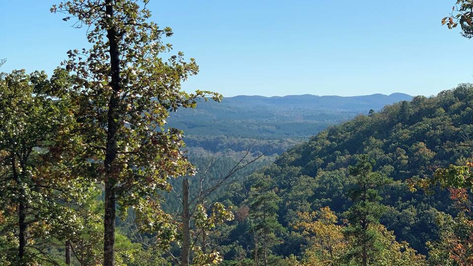 A forested mountain landscape with clear skies.
