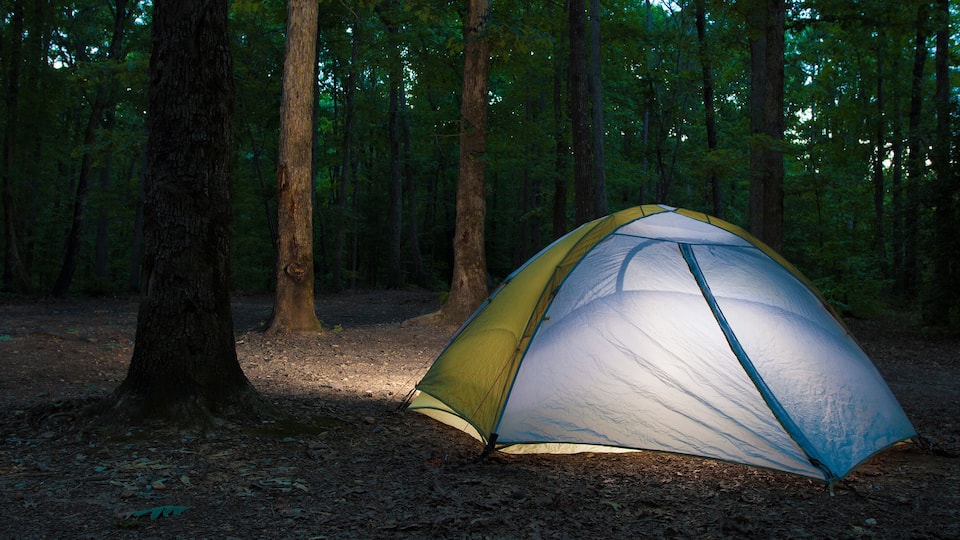 A yellow and blue tent set up in a forest.