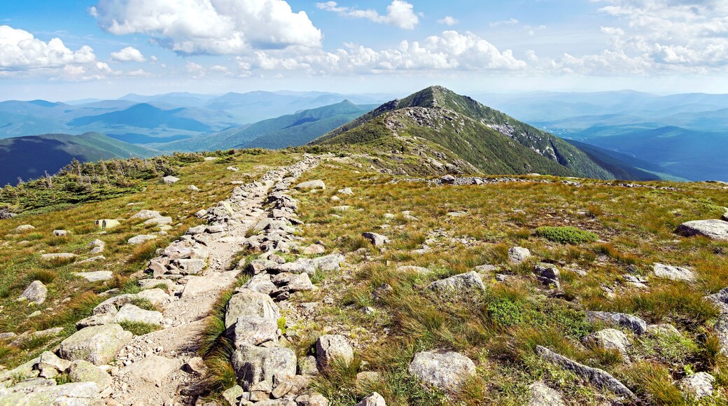 Montagne Mount Lincoln