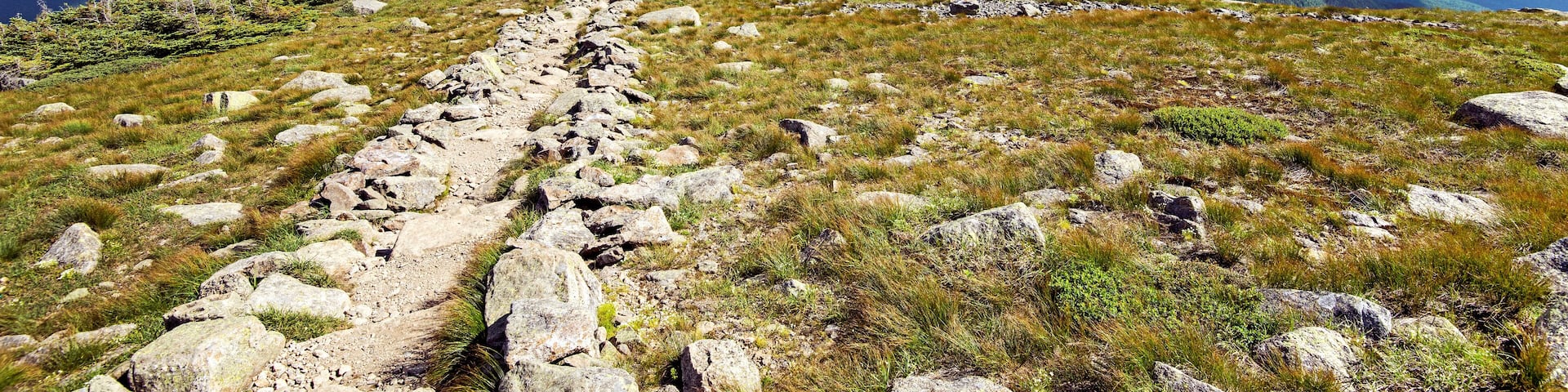 Franconia Ridge Trail winds southward toward Mount Lincoln's summit.