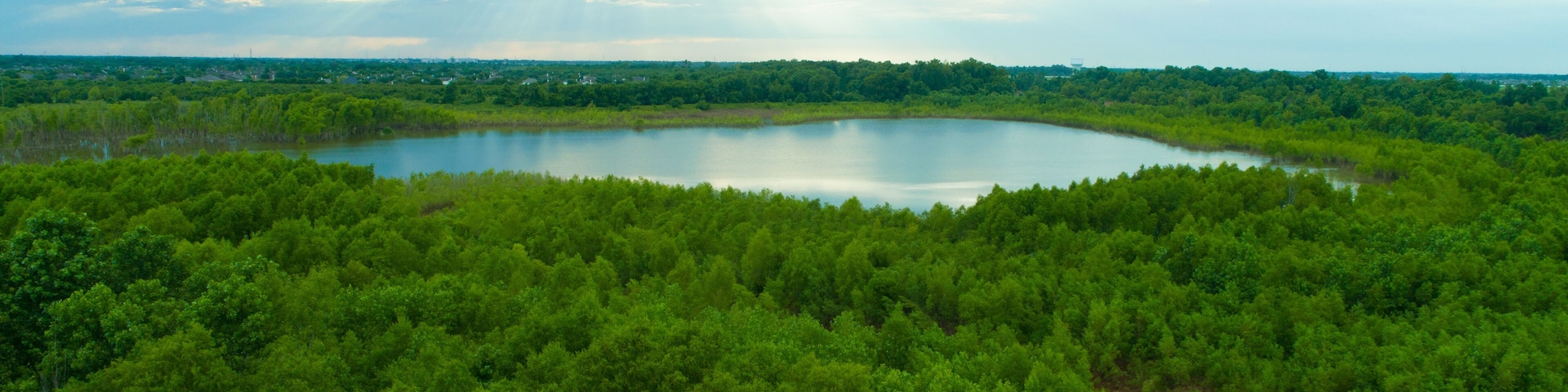Brazos River Aerial Texas River Forest