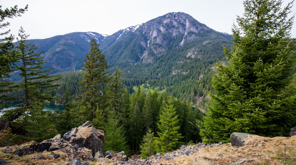 Luna Peak at North Cascades National Park in Washington State during summer. Ross Dam Trailhead.