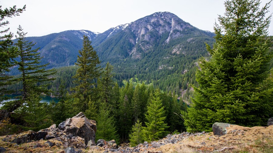 Luna Peak at North Cascades National Park in Washington State during summer. Ross Dam Trailhead.
