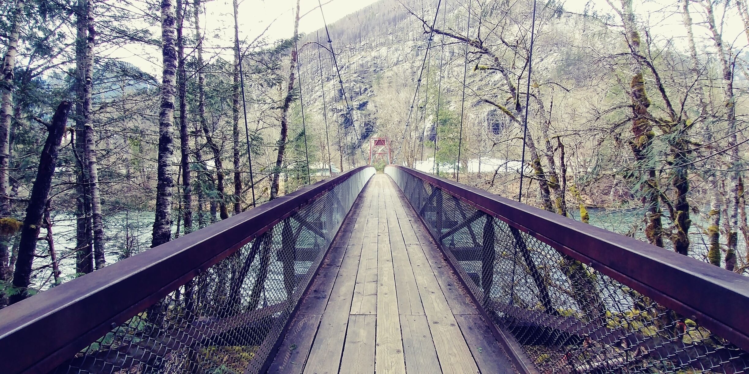 A wooden bridge with metal railings surrounded by trees and a river.