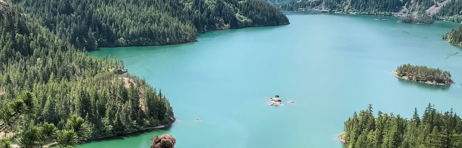 I love North Cascades! Specifically, this overlook. This place is about a three-hour drive from Seattle and is a must-visit in the summertime. You don't need to hike for this view so it is accessible to everyone. Washington was nicknamed "The Evergreen State" and, in my opinion, this place is a perfect example as to where this nickname came from. #culture