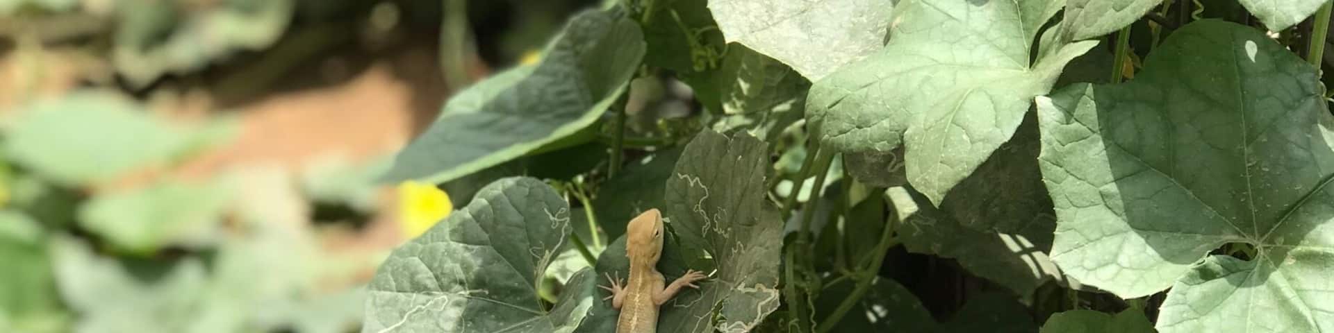 #lifeatexpedia nature has space for everyone 😀